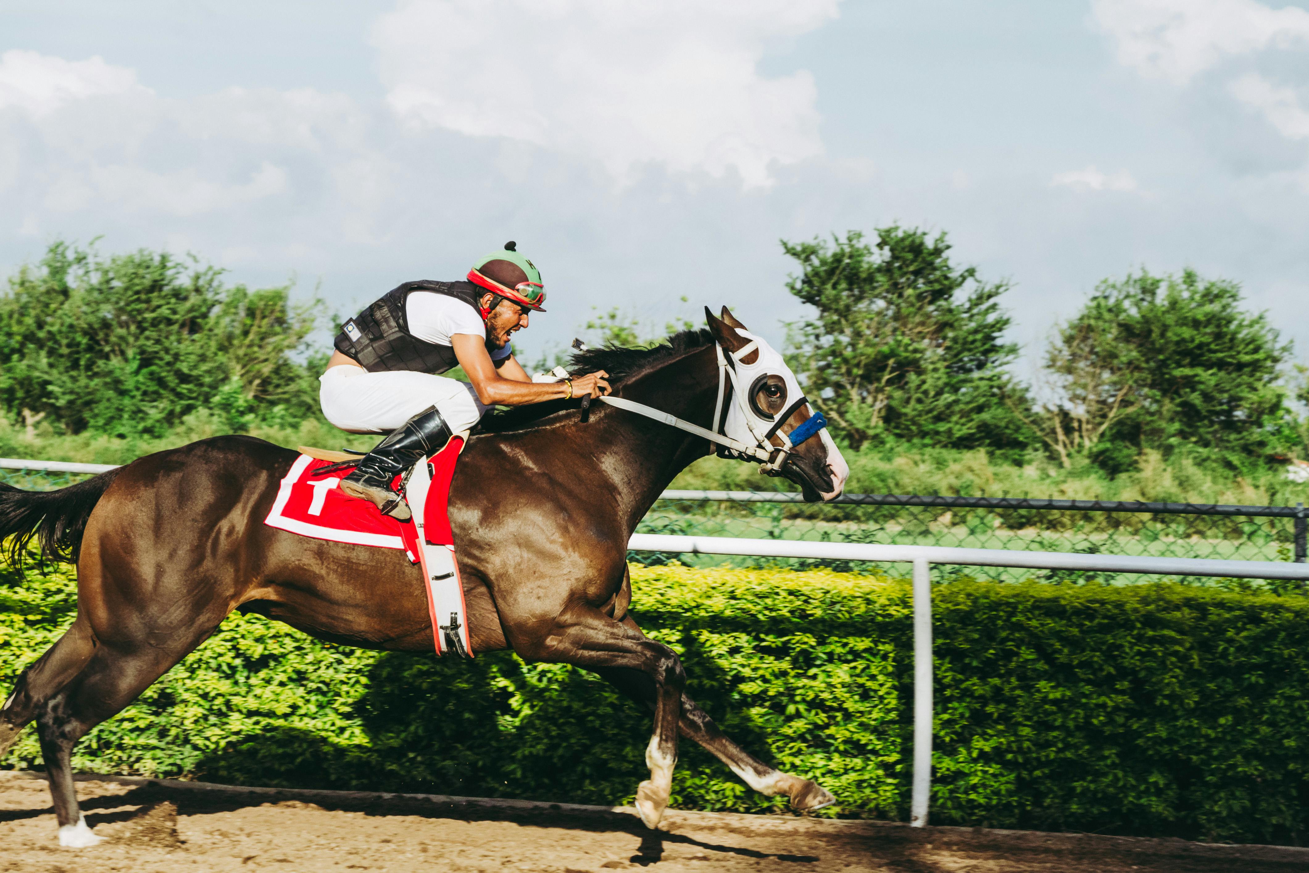 A horse race with sports betting.